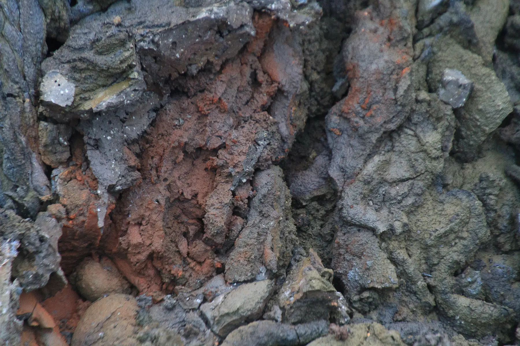Cross-section detail of mineral rock