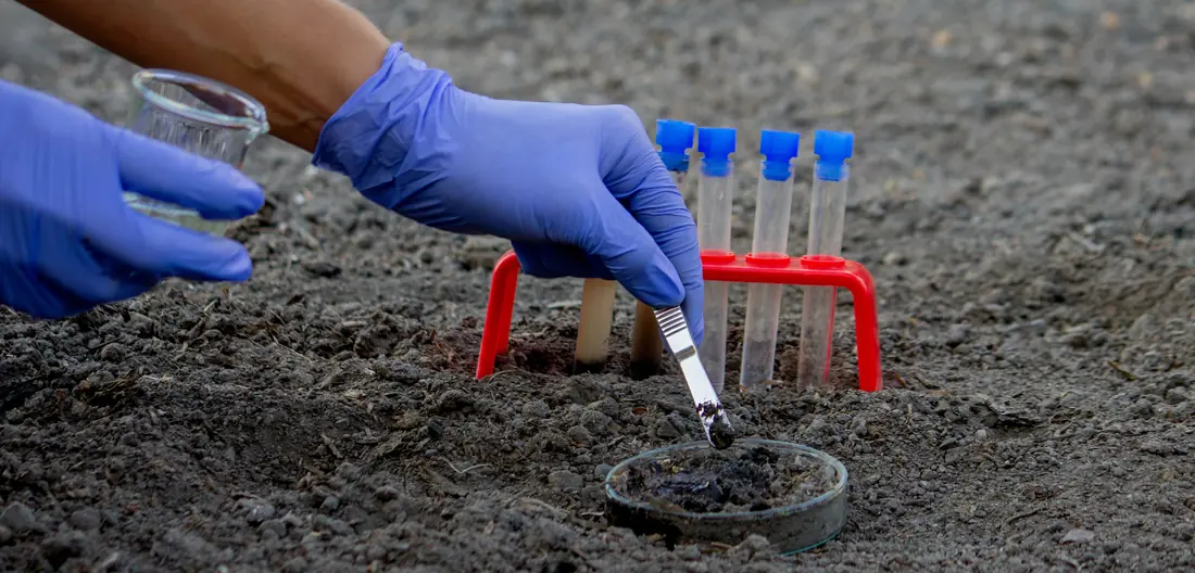 Technician taking a soil sample into a test tube for analysis